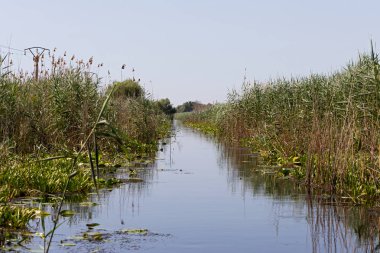 Tuna Deltası Biyosferi