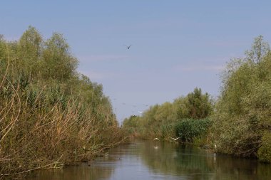 Tuna Deltası Biyosferi