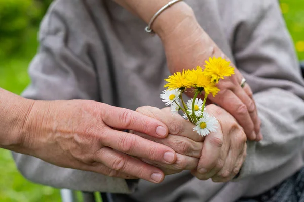 Cura degli anziani - mani, bouquet — Foto Stock