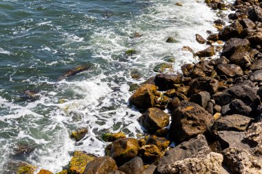 Splash buzlu dalgalar