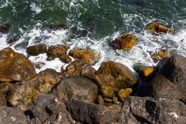 Splash buzlu dalgalar