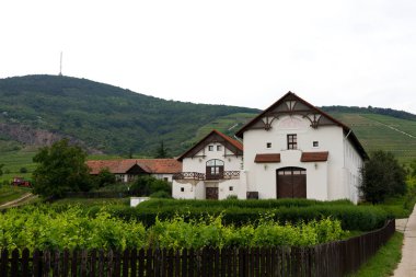 Tokaj'daki Bağ Bağı, Macaristan