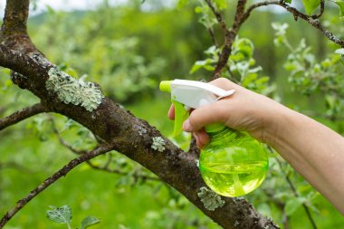 Organik gübre spreyi