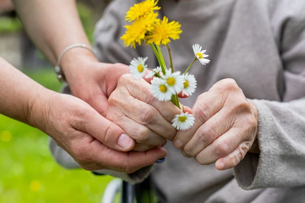 Elderly care - hands, bouquet — Stock Photo, Image