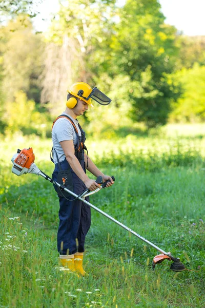 Klippa gräs — Stockfoto