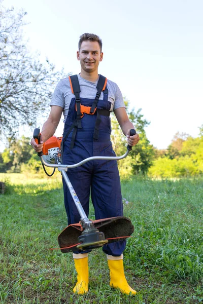 Klippa gräs — Stockfoto