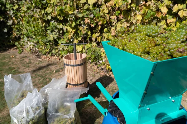 Traditional Wine Making Process Wine Press Fresh Harvested Grapes — Stock Photo, Image