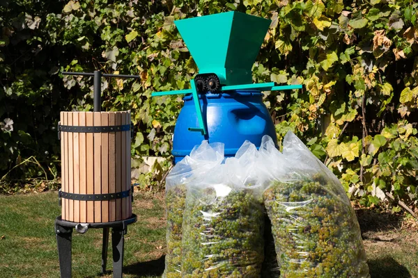 Geleneksel Şarap Yapma Süreci Şarap Presi Taze Toplanmış Üzümler — Stok fotoğraf