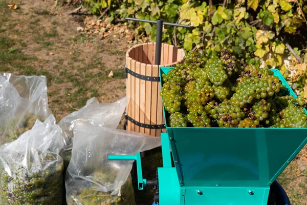 Traditionele Wijnbereiding Wijnpers Verse Geoogste Druiven — Stockfoto
