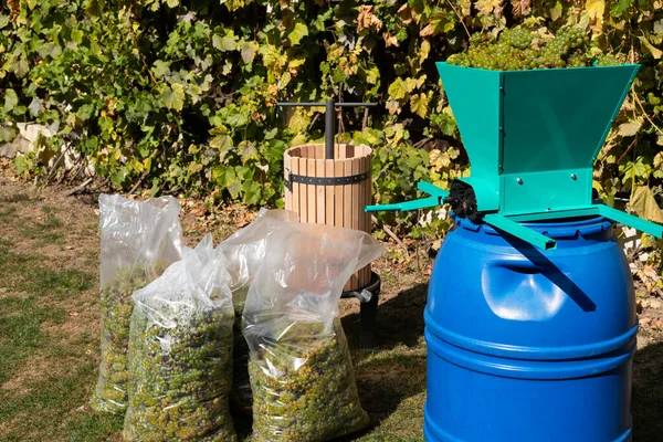 Proceso Tradicional Elaboración Del Vino Prensa Vinos Uvas Vendimiadas Frescas —  Fotos de Stock