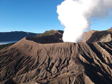lahana bahçeleri dronlar kullanarak fotoğraflandı