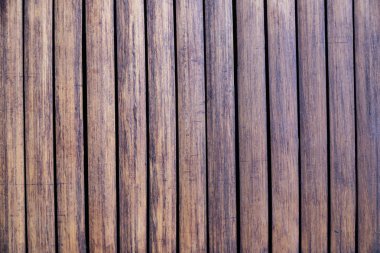 Bambu arka plan doğal bitki titreşimli