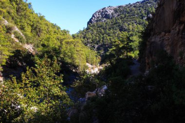 dağ nehir kanyon