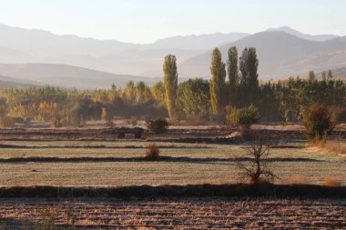 Foothill Vadisi sonbahar traktör römork ile