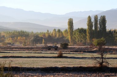 Foothill Vadisi sonbahar traktör römork ile