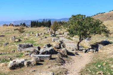 Harabeleri antik kent hierapolis