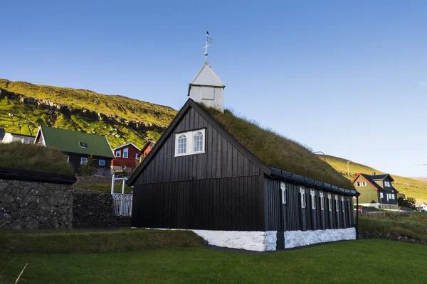 Herbe Sur Toit Une Vieille Église Nordique — Photo