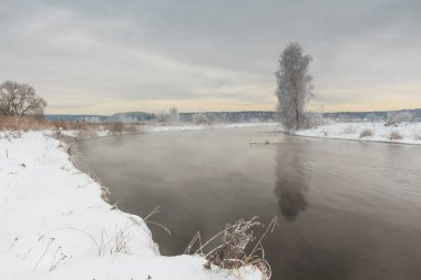 ağaç ve otların arasında Don kış nehir tarafından