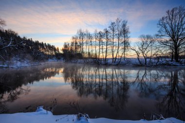 ağaç ve otların arasında Don kış nehir tarafından