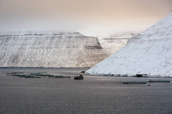 salmon farm demanded cultivation of salmon