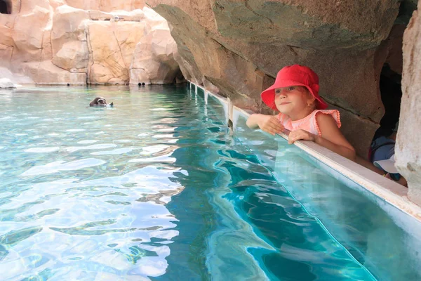 Girl Red Cap Watching Penguins Glass Aquarium — Stock Photo, Image