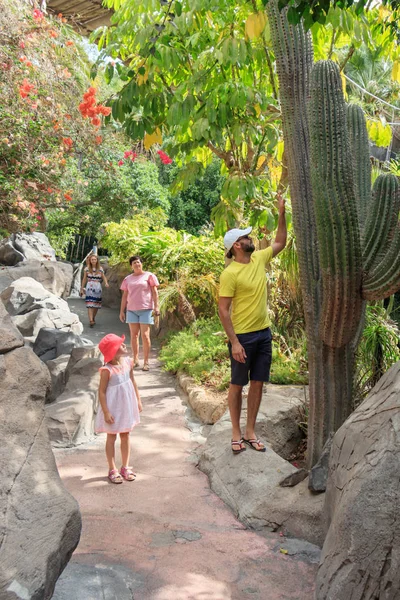 tropikal bir park, aile çalışmaları doğa