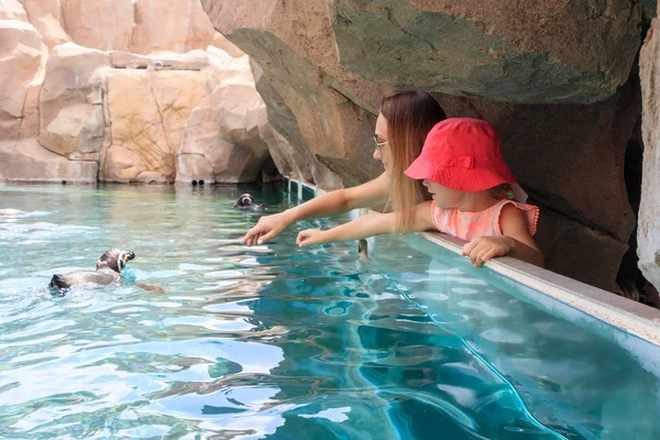 Girl Red Cap Her Mother Watching Penguins Glass Aquarium — Stock Photo, Image