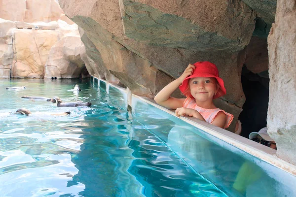 Girl Red Cap Watching Penguins Glass Aquarium — Stock Photo, Image
