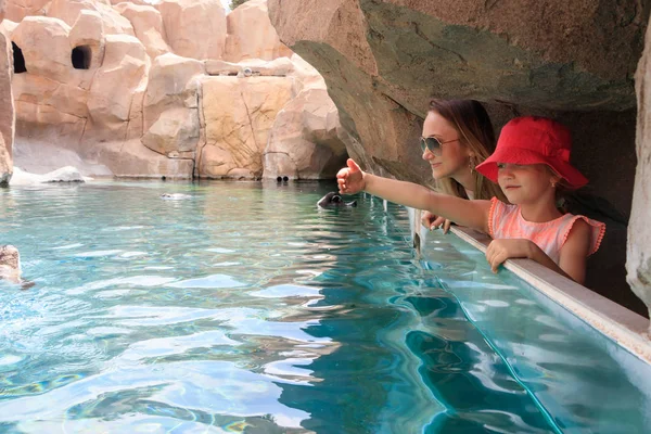 Girl Red Cap Her Mother Watching Penguins Glass Aquarium — Stock Photo, Image