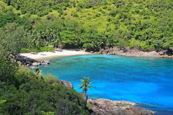 Lagune Mit Klarem Blauem Wasser Tropischem Grün Und Felsen Mit — Stockfoto