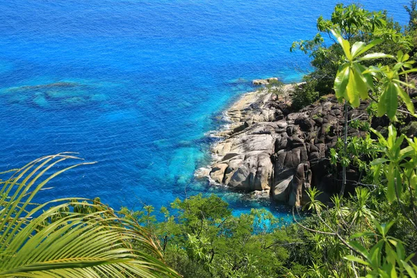Lagune Aux Eaux Bleues Claires Verdure Tropicale Rochers Avec Rochers — Photo