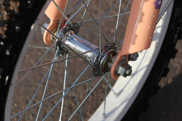 Wheel Bicycle Sleeve Spokes — Stock Photo, Image