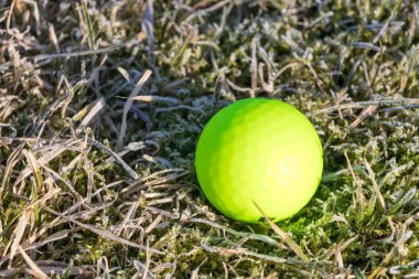 Golf topu parlak yeşil frost çimenlerin üzerinde