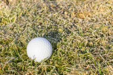 Golf topu hoarfrost üzerinde