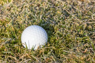Golf topu hoarfrost üzerinde