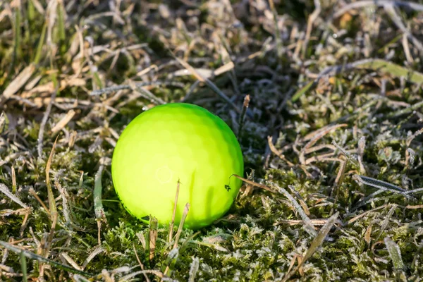 Мяч Гольфа Ярко Зеленый Ледяной Траве — стоковое фото