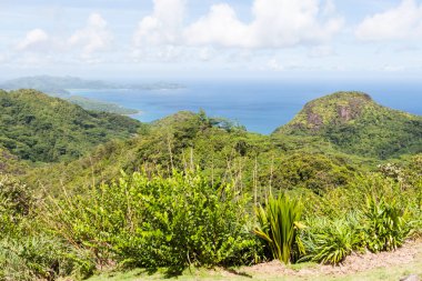 tropik bir adada bir görüntüleme platformu üzerinden Üstten Görünüm