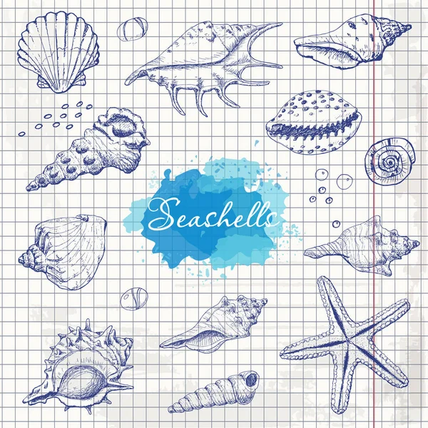 Isolated seashells on paper — Stock Vector