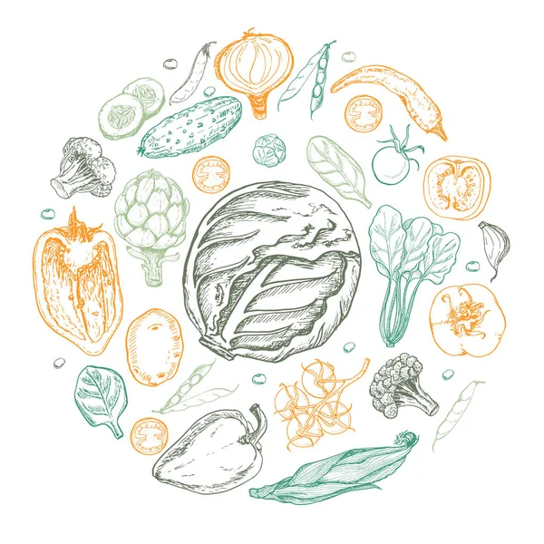 Vector circle of vegetables. New design for the vegetable market. Vector illustration for your design