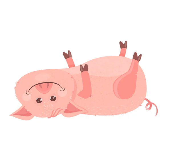 Symbole Noël Drôle Piggy 2019 Cochon Dans Chapeau Nouvel Trouve — Image vectorielle