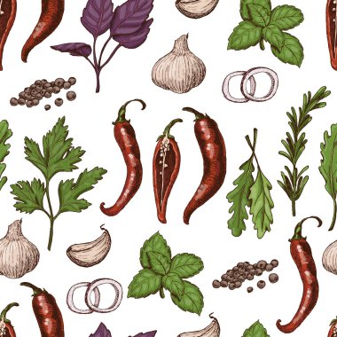 Farklı renk baharat ve otlar kroki tarzı ile vektör seamless modeli