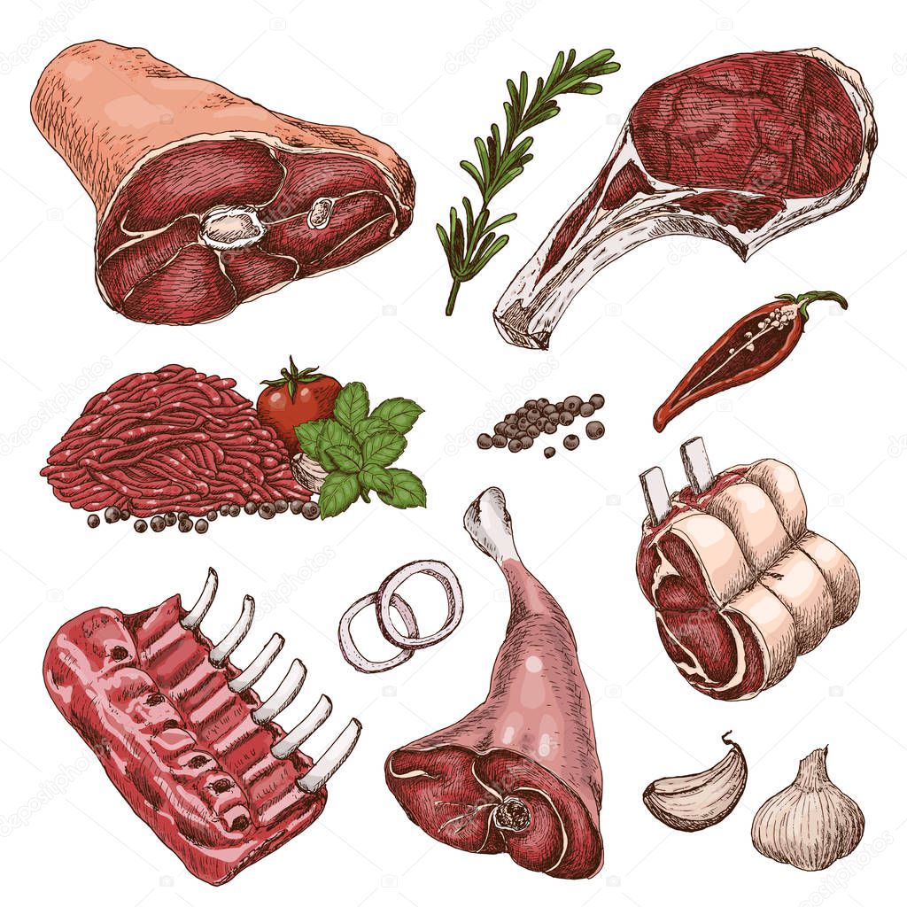 Vector set of different color meats in sketch style