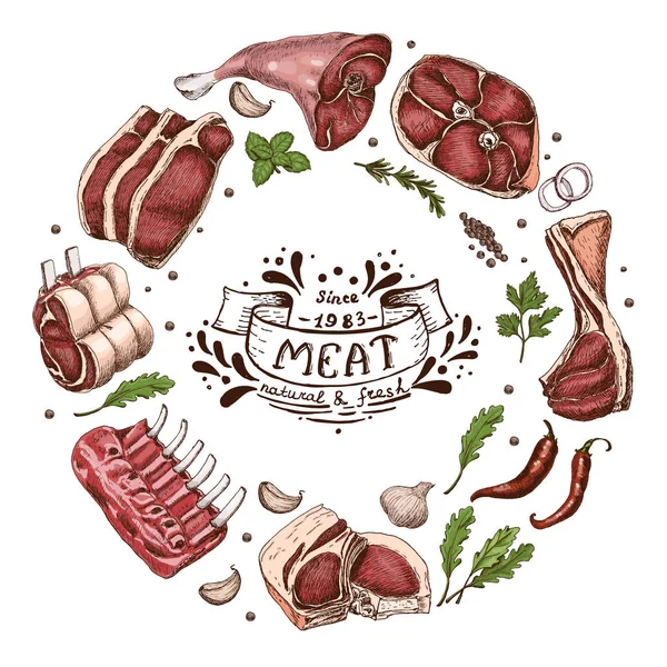 Geïsoleerde Vlees Cirkel Met Verschillende Kleur Vlees Schets Stijl Vectorillustratie — Stockvector