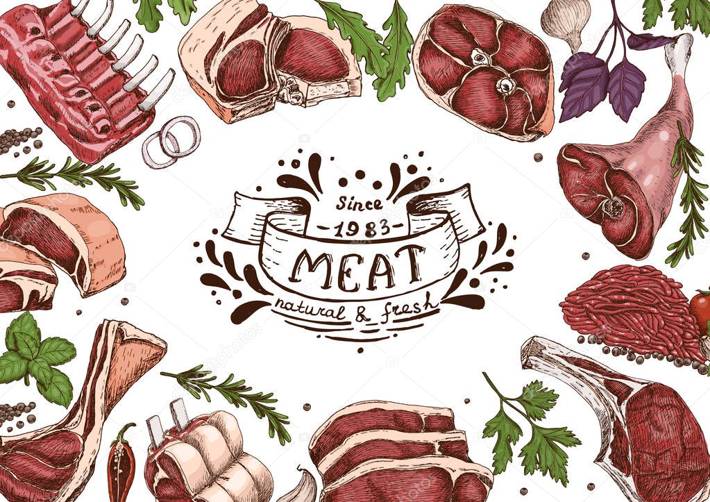 Horizontal background with different color meats in sketch style. Vector illustration for your design