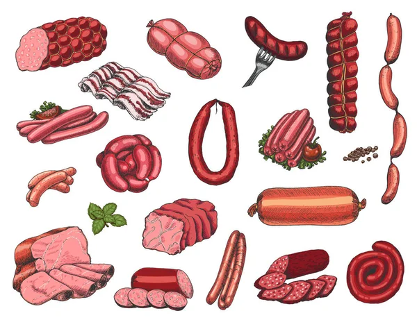 Ensemble Vectoriel Différents Produits Viande Style Croquis Saucisses Jambon Bacon — Image vectorielle
