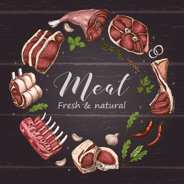 Isolated meat circle with different color meats in sketch style. Vector illustration for your design