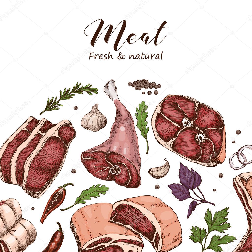 Vector background with different color meats in sketch style. Vector illustration for your design