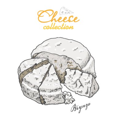 Vektör arka plan peynir ile. Vektör çizim tasarımınız için