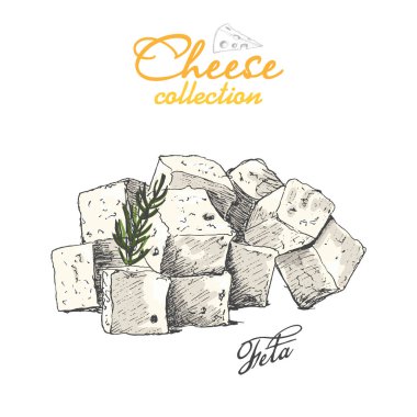 Vektör arka plan peynir ile. Vektör çizim tasarımınız için