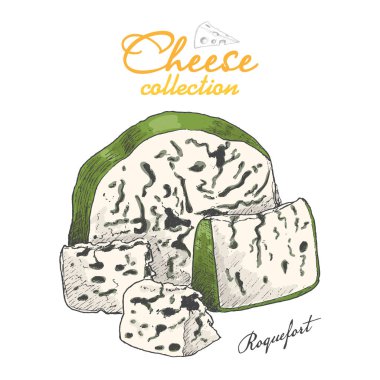 Vektör arka plan peynir ile. Vektör çizim tasarımınız için